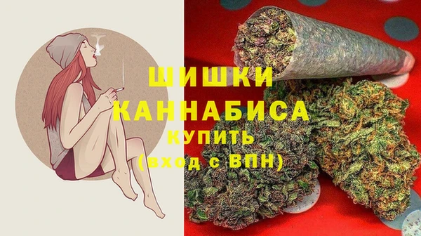 индика Балахна